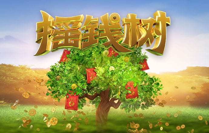 泽宇体育
